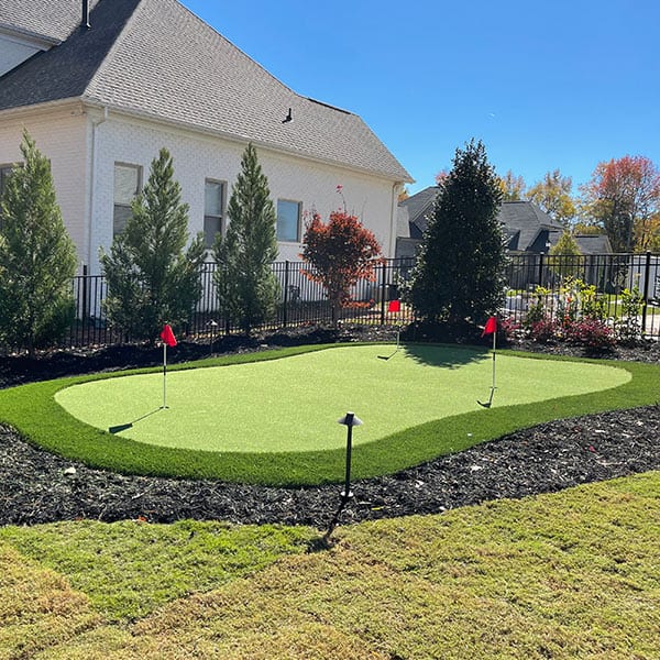 Artificial Turf Example - Lawns on Providence