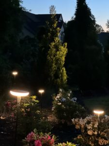 Photo of landscape lighting by Lawns On Providence